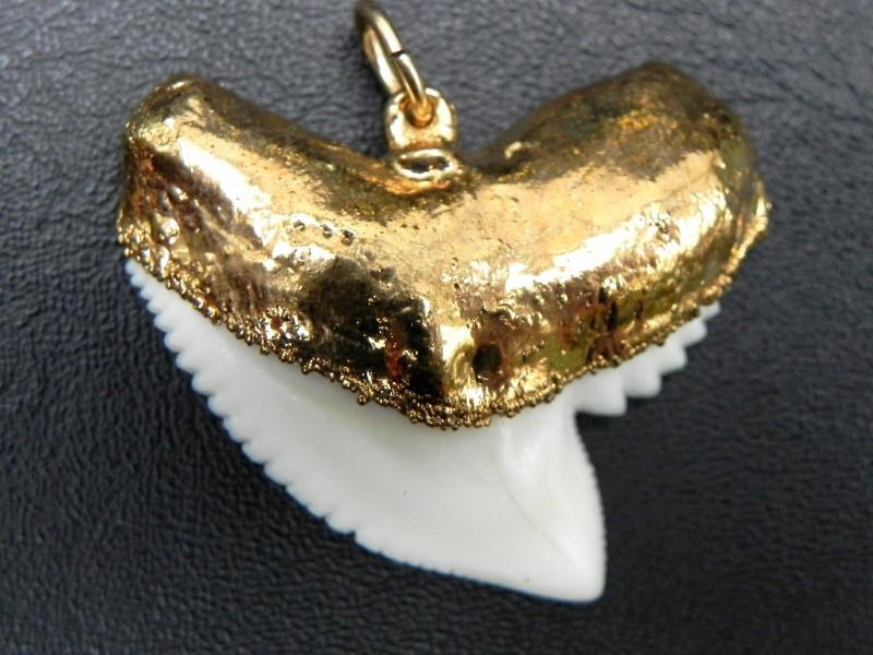 tiger shark pendant