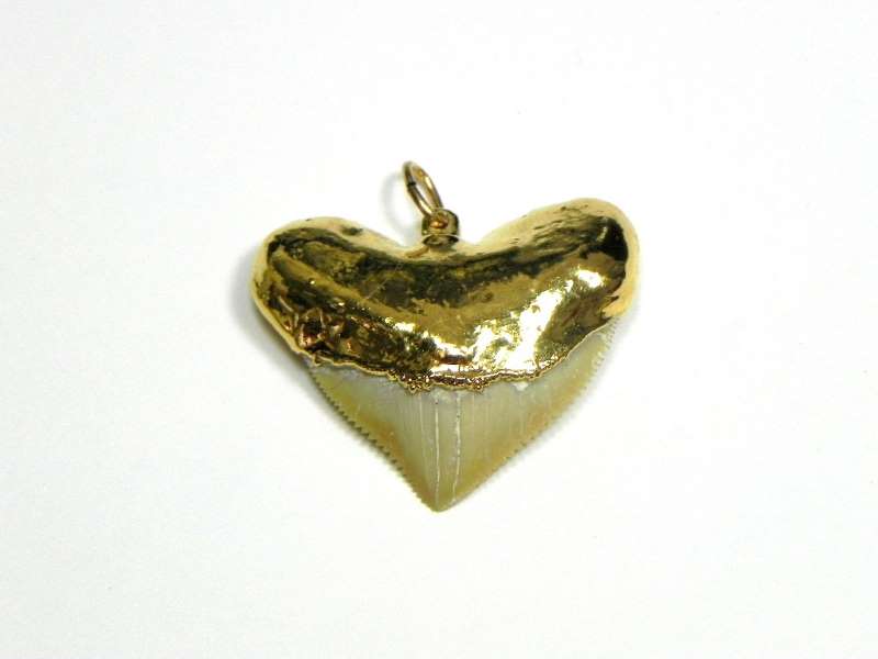 squalicorax shark tooth pendant