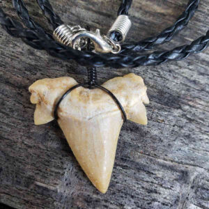 Black Braided Otodus Shark Tooth Necklace