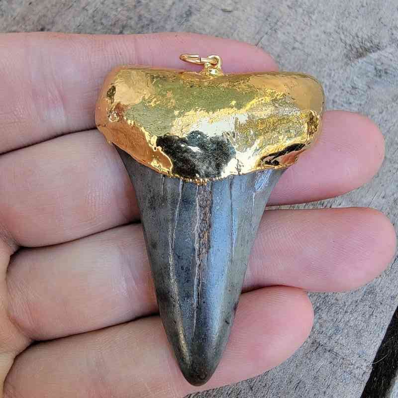 Extinct Great White Pendant