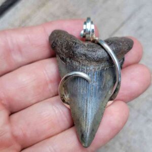 Hook wrapped Meg Tooth