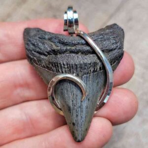 Silver Hook Wrapped Megalodon Shark Teeth