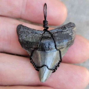 Black Wire Megalodon Pendant