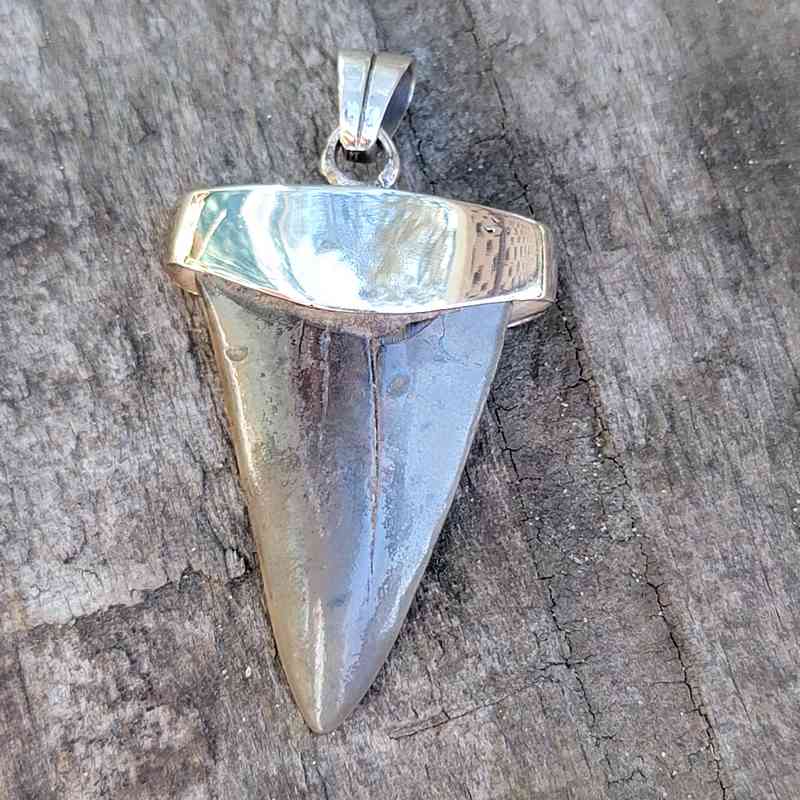 silver plate extinct great white pendant