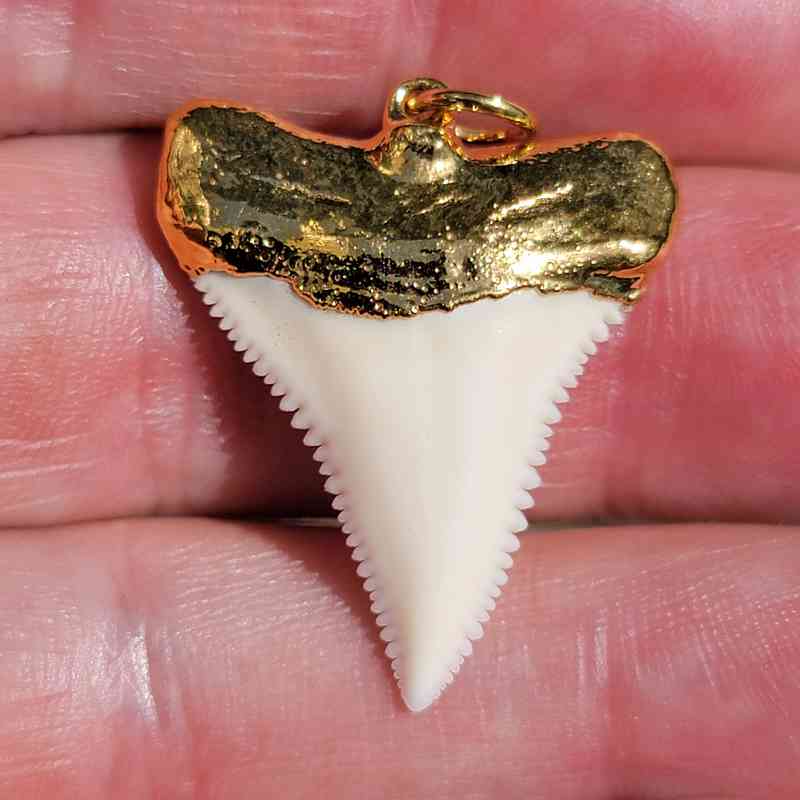 18ct Gold Capped Modern Great White  Tooth Pendant