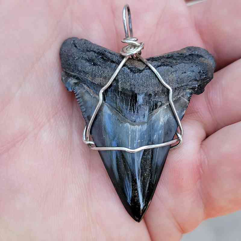 polished megalodon tooth pendant