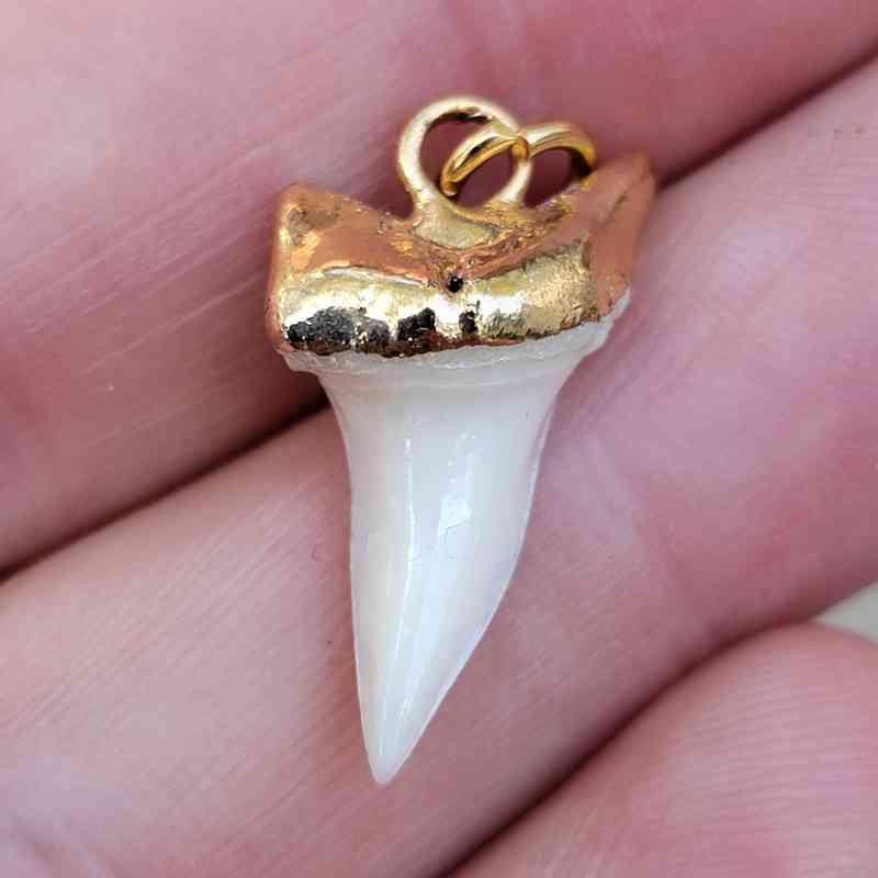 18 ct gold cap mako tooth