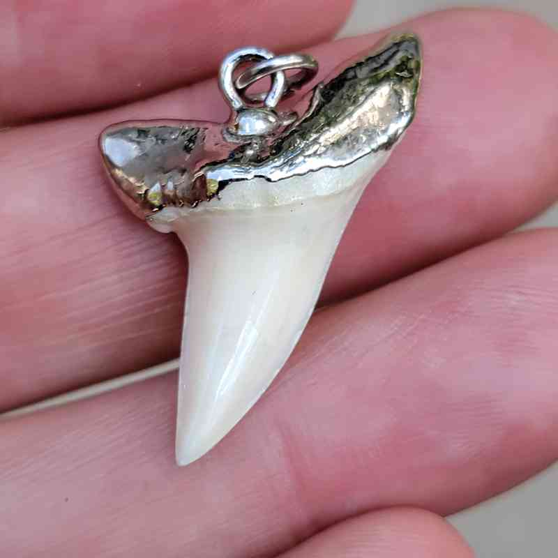 sterling silver mako tooth