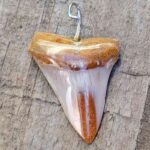 Bakersfield Megalodon Pendant