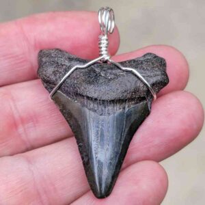 Megalodon Craft Wire Pendant