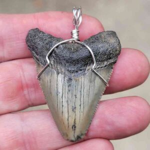 Megalodon Craft Wire Pendant