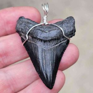 Megalodon Craft Wire Pendant