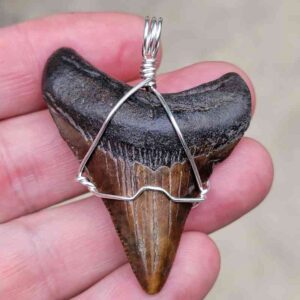 Megalodon Craft Wire Pendant