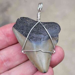 Megalodon Craft Wire Pendant