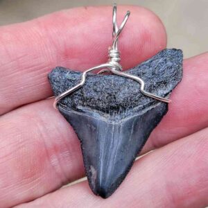 Megalodon Craft Wire Pendant