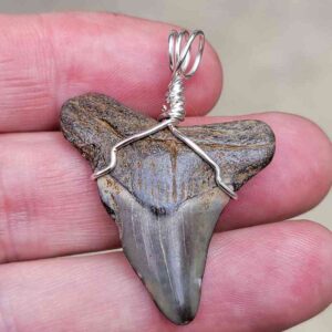 Megalodon Craft Wire Pendant