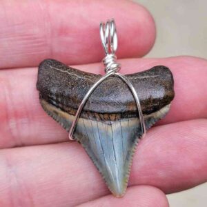 Megalodon Craft Wire Pendant