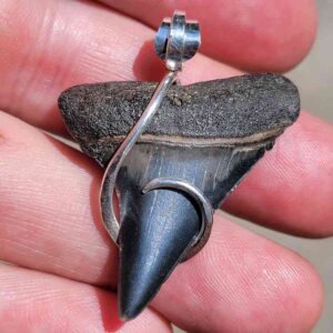 Hook Wrapped Extinct Great White Pendant