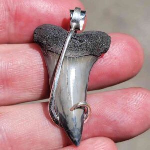 Hook Wrapped Extinct Great White Pendant