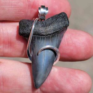 Hook Wrapped Extinct Great White Pendant