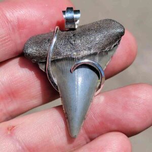 Hook Wrapped Extinct Great White Pendant