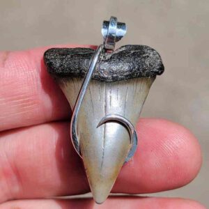 Hook Wrapped Extinct Great White Pendant