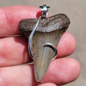 Hook Wrapped Extinct Great White Pendant