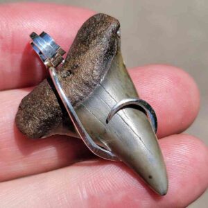 Hook Wrapped Extinct Great White Pendant