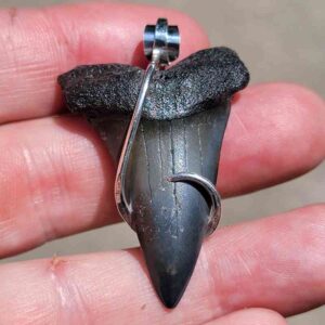 Hook Wrapped Extinct Great White Pendant