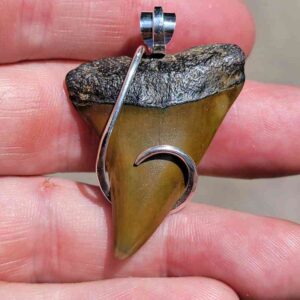 Silver Hook Wrapped Extinct Great White Shark Pendant