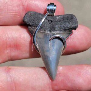 Hook Wrapped Extinct Great White Pendant