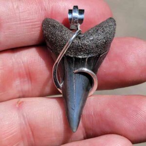 Hook Wrapped Extinct Great White Pendant