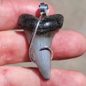 Hook Wrapped Extinct Great White Pendant