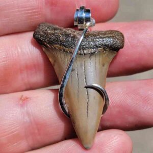 Hook Wrapped Extinct Great White Pendant