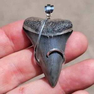 Hook Wrapped Extinct Great White Pendant