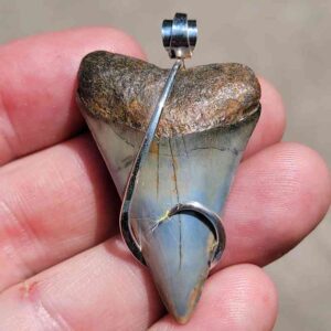 Hook Wrapped Extinct Great White Pendant