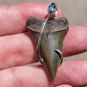 Hook Wrapped Extinct Great White Pendant