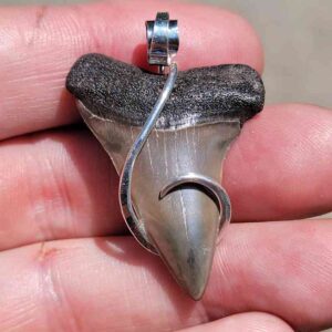 Hook Wrapped Extinct Great White Pendant