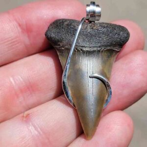 Hook Wrapped Extinct Great White Pendant