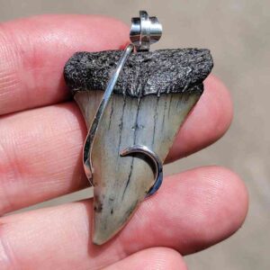 Hook Wrapped Extinct Great White Pendant