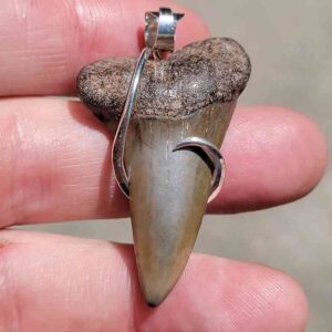 Hook Wrapped Extinct Great White Pendant