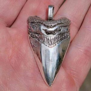 Sterling Silver Megalodon