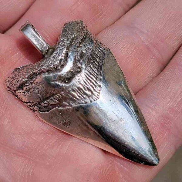 Silver Megalodon Tooth Pendant