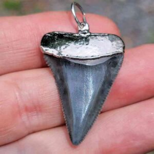 Nickel Plated Fossil Great White Pendant