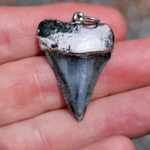 Nickel Plated Fossil Great White Pendant