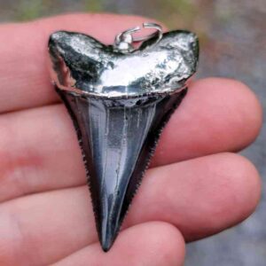 Nickel Plated Fossil Great White Pendant