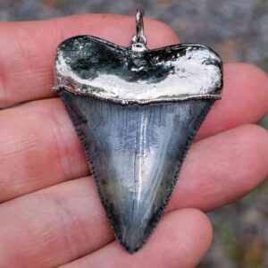 Nickel Plated Fossil Great White Pendant