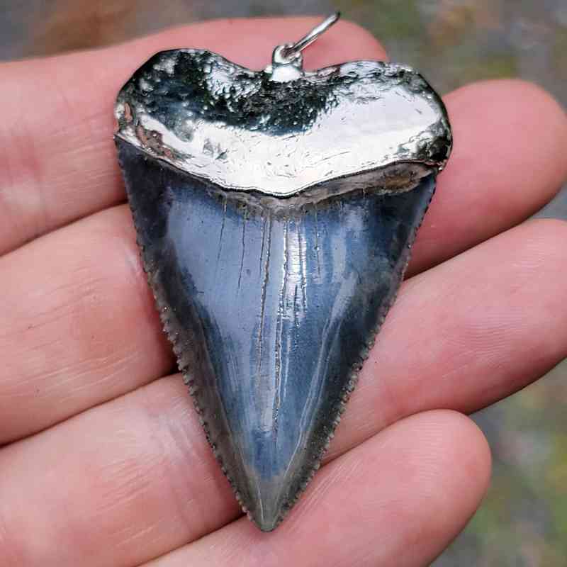 Nickel Plated Fossil Great White Pendant