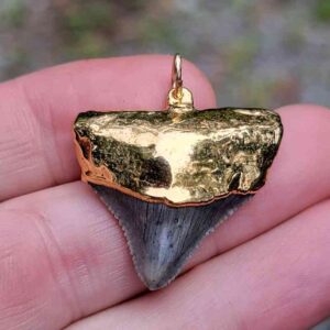 Gold Plated Megalodon Tooth Pendant