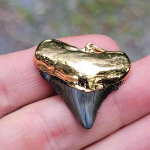 Gold Plated Megalodon Tooth Pendant